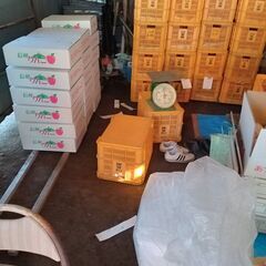 わけありりんごは完売いたしました。ひきづき贈呈用、送料サービスです。の画像