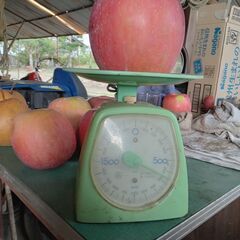 わけありりんごは完売いたしました。ひきづき贈呈用、送料サービスです。の画像