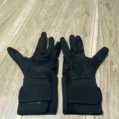 電熱グローブの画像