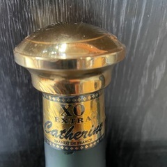 キャサリンXOエキストラの画像