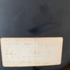 キャサリンXOエキストラの画像