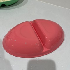 【美品】樹脂プレート2枚セットの画像