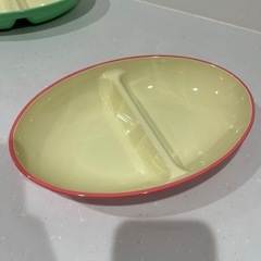 【美品】樹脂プレート2枚セットの画像