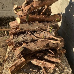 薪、焚き火、500円の画像