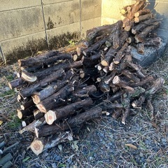 薪、焚き火、500円の画像