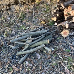 薪、焚き火、500円の画像