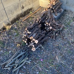 薪、焚き火、500円の画像