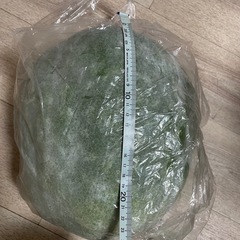 決まりました　冬瓜の画像
