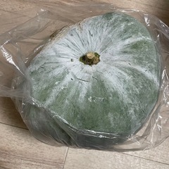 決まりました　冬瓜の画像