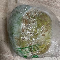 決まりました　冬瓜の画像