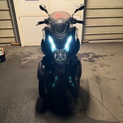 YAMAHA TRICTY125 側車付二輪車の画像
