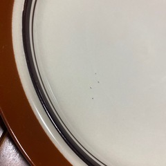 お取引者決まりました❗️プレート　大皿　CAROUSEL STONEWERE ３枚セットの画像