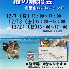 予約不要！神奈川県内最大級　葉山ねこねこランド保護猫譲渡会…