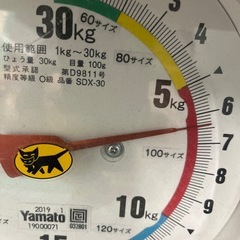 讃岐蜜柑箱込み6kg以上の画像