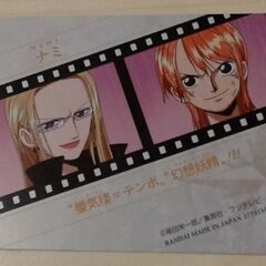 『ワンピース』第295話ナミのカードの画像