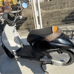 ホンダ　トゥデイの画像