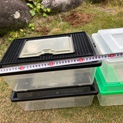 虫かご／プラケース4個セットの画像