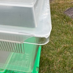 虫かご／プラケース4個セットの画像