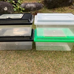 虫かご／プラケース4個セットの画像