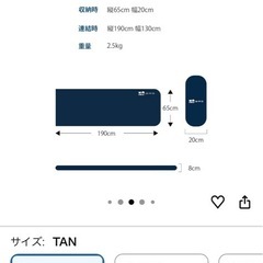 WAQ インフレーターマット　8センチの画像