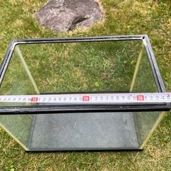 ガラス水槽の画像