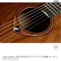 LAG SAUVAGE-PE 新品　保証1年付　エレアコの画像