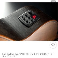 LAG SAUVAGE-PE 新品　保証1年付　エレアコの画像