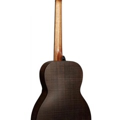 LAG SAUVAGE-PE 新品　保証1年付　エレアコの画像