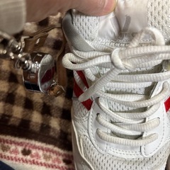 体育館シューズ23cm
の画像