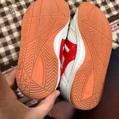 体育館シューズ23cm
の画像