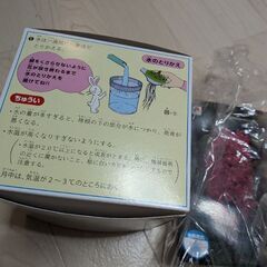 ヒヤシンスの画像