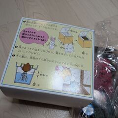 ヒヤシンスの画像