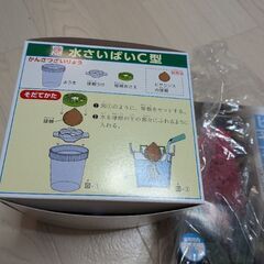 ヒヤシンスの画像