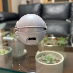 コンパクトヘアアイロンの画像