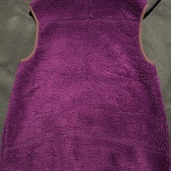 パタゴニア　レトロX ベストの画像