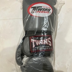 TWINS ボクシンググローブ グレー 10オンスの画像