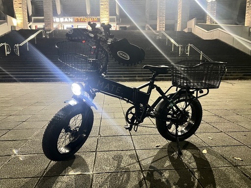 MATE X 250 日本未販売モデル ウォーキングアシスト機能付