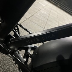 MATE X 250 日本未販売モデル ウォーキングアシスト機能付の画像