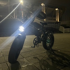 MATE X 250 日本未販売モデル ウォーキングアシスト機能付の画像