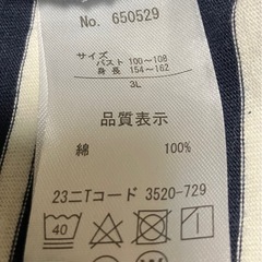 ボーダーチュニックの画像