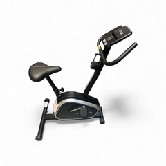 【エアロバイク+マットセット】クリーニング済み【管理番号】1203 橋の画像