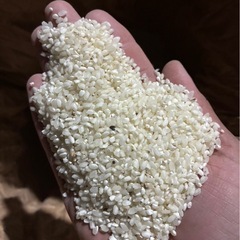 鳥のエサ用 クズ米の画像