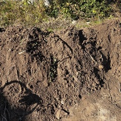 庭土、もらって下さいの画像