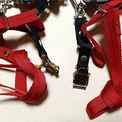 6本爪アイゼン　IWATANI PRIMUS　イワタニプリムス　軽アイゼン　冬山登山の画像