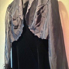 ベルベットドレスの画像