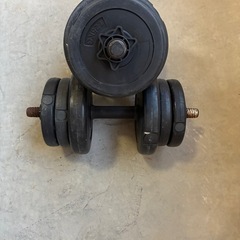 ダンベル１０キロ✖️2セットの画像