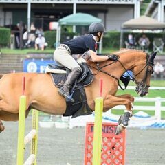 馬に乗って見ませんか？の画像