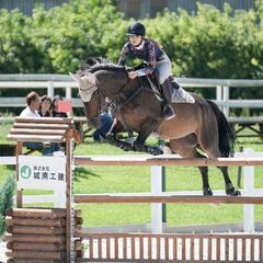 馬に乗って見ませんか？の画像