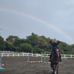 馬に乗って見ませんか？の画像