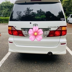 アルファードの画像